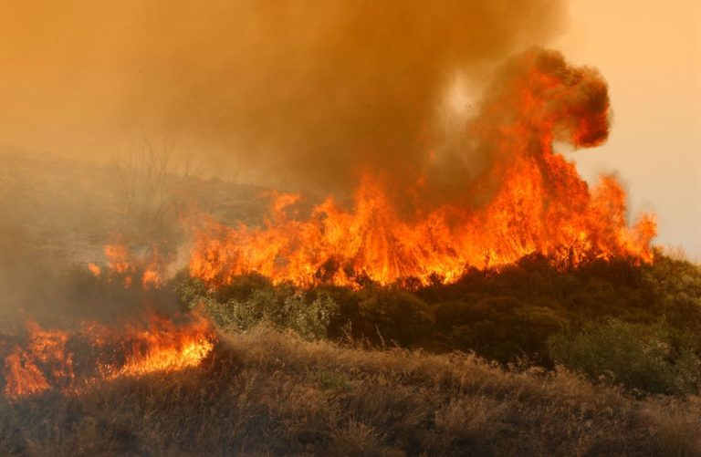 Πολύ υψηλός κίνδυνος πυρκαγιάς λόγω των ισχυρών ανέμων – Σε επιφυλακή η Πολιτική Προστασία
