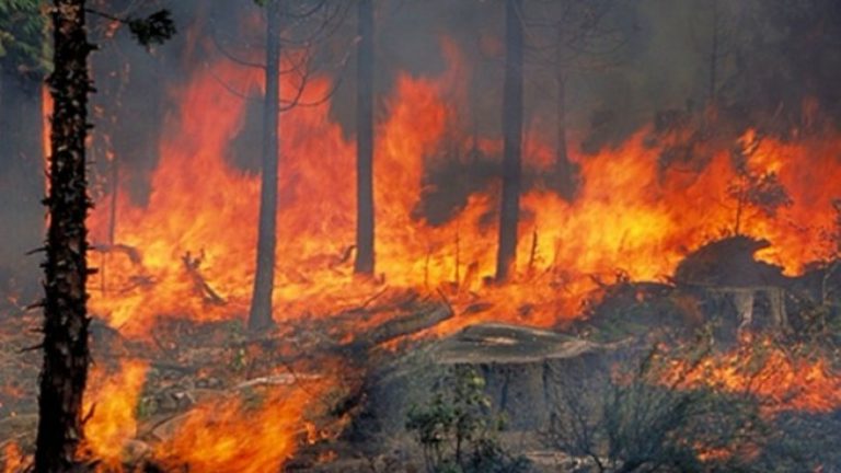 Αυξημένος κίνδυνος πυρκαγιάς στη Κρήτη σήμερα