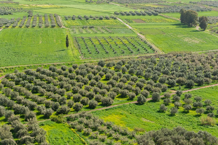 Η Πρωτογενής Παραγωγή στο προσκήνιο