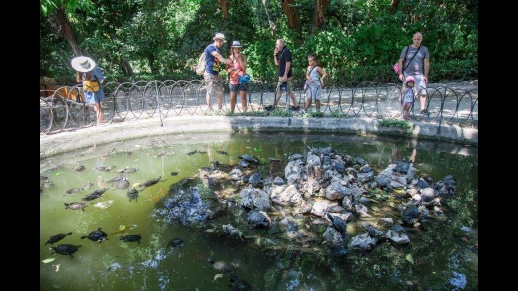 Προ των πυλών ο καύσωνας – Η θερμοκρασία θα ξεπεράσει τους 40