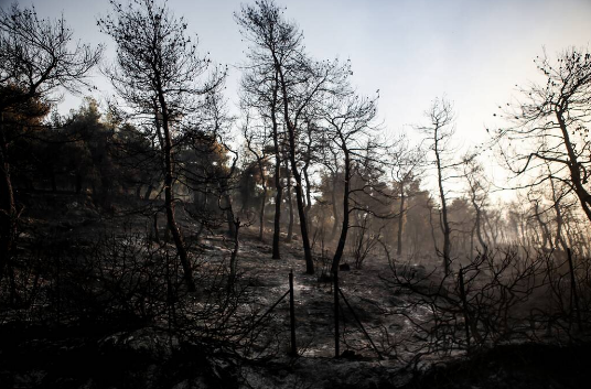 Φωτιά στην Εύβοια: Μάχη με το χρόνο και τους ανέμους σε δύο μέτωπα