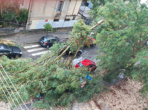 Καλαμάτα: Ανεμοστρόβιλος «σάρωσε» την πόλη