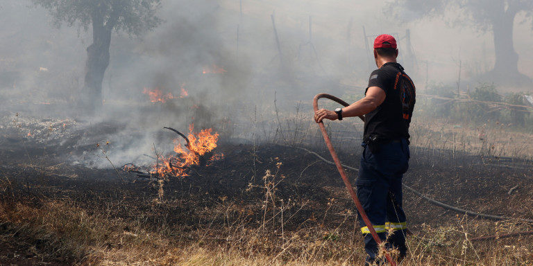 Νέα φωτιά στην Κρήτη – Πρόλαβαν τα χειρότερα οι πυροσβέστες