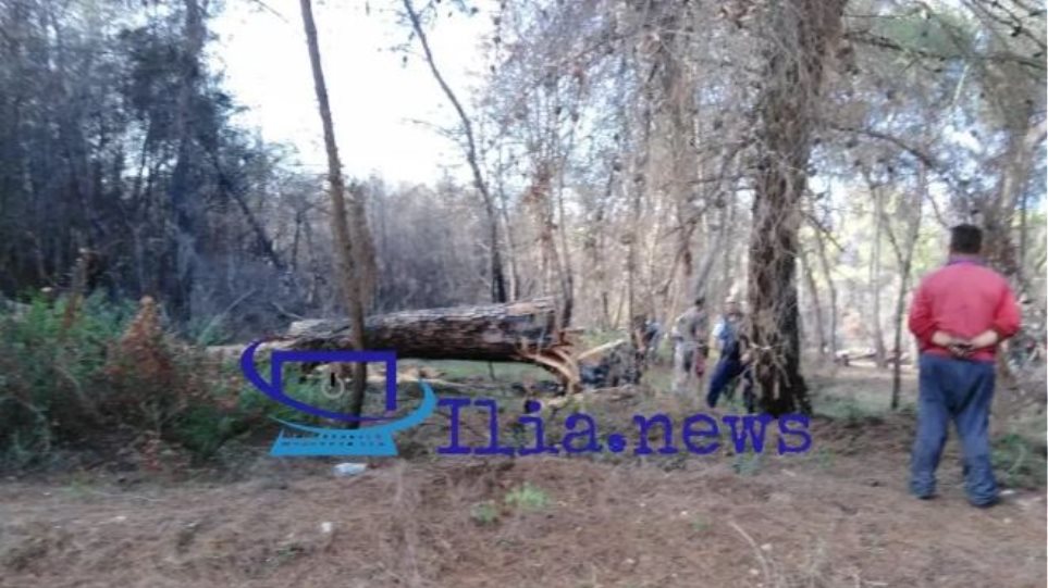 Τραγωδία στην Ηλεία: Νεκρή 70χρονη που την καταπλάκωσε δέντρο
