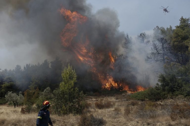 Ηράκλειο: Μάχη με τις φλόγες και τους ανέμους