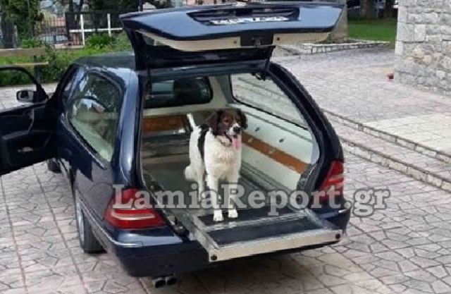 Ράγισε καρδιές ο νέος «Χάτσικο» – Πήγε στην κηδεία του αφεντικού του