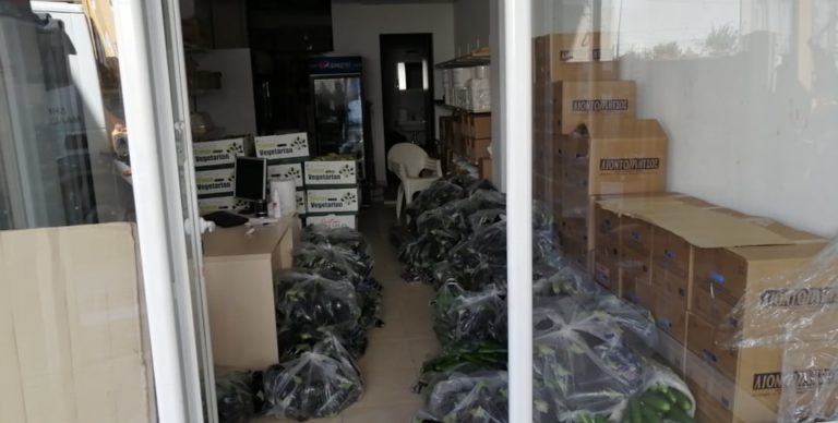 Προσφορά κηπευτικών από τη Φαιστό στο Μαλεβίζι