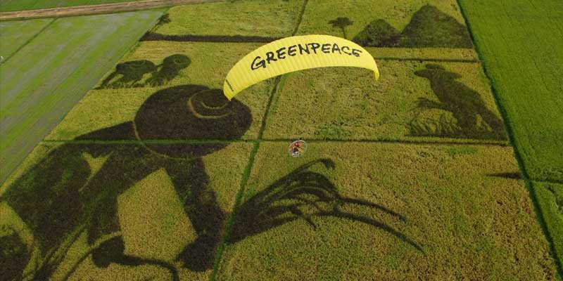 Greenpeace: Πως η ενασχόληση με τον πρωτογενή τομέα μας εκθέτει στην εμφάνιση ζωονόσων