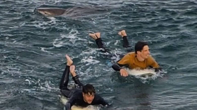 Βίντεο: Καρέ-καρέ η αγωνιώδης προσπάθεια δύο ανδρών να γλιτώσουν από καρχαρία