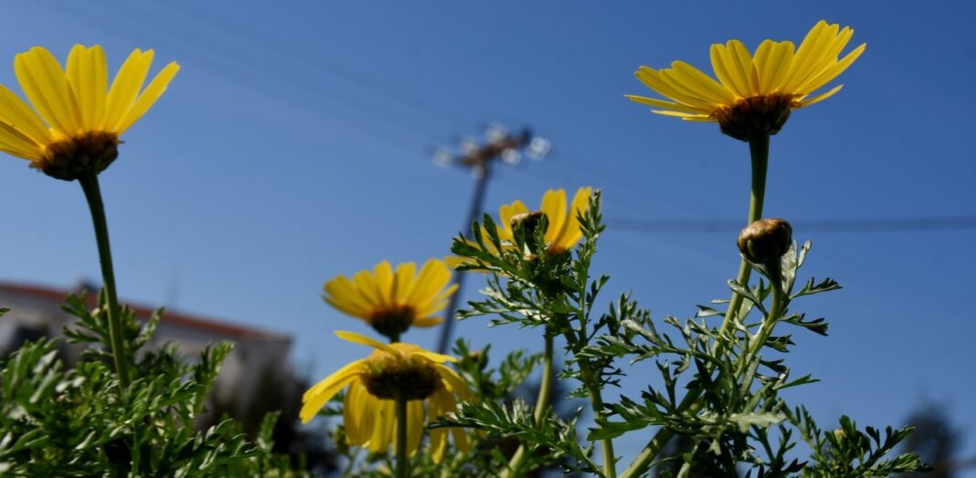 Πρωτομαγιά με αίθριο καιρό στην Κρήτη