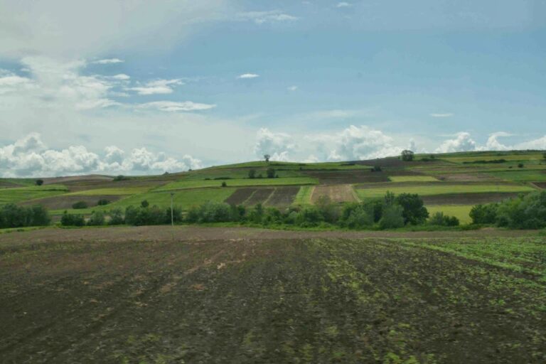 Άνοιξαν θέσεις υδρονομέων και εποπτών άρδευσης στο Δήμο Μινώα Πεδιάδας