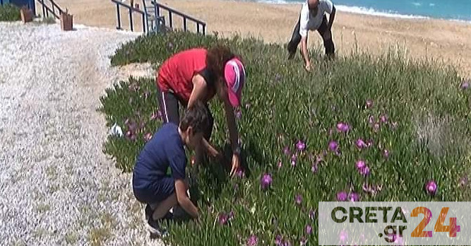 Ηράκλειο: Άλλοι στην παραλία και άλλοι στην εξοχή την Πρωτομαγιά (εικόνες)