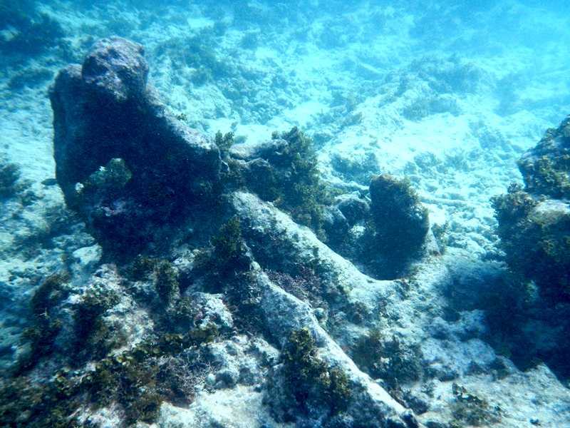 Κρήτη: Βούτηξε στη θάλασσα και βρήκε …πυρομαχικά