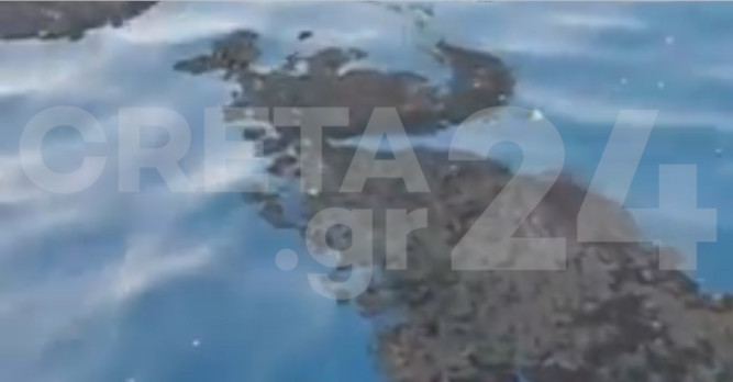 Κρήτη: Μεγάλη ρύπανση στη θάλασσα – Συναγερμός στο Λιμενικό (Δείτε τις εικόνες)