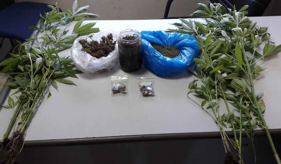 Κρήτη: Νέα σύλληψη για καλλιέργεια χασίς σε σπίτι