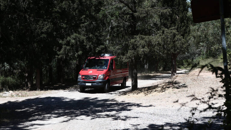 Υπό μερικό έλεγχο η πυρκαγιά στη Χαλκιδική