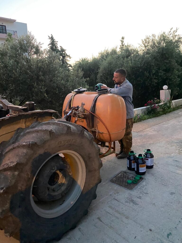 Συνεχίζονται οι ψεκασμοί για δάκο στο Μαλεβίζι