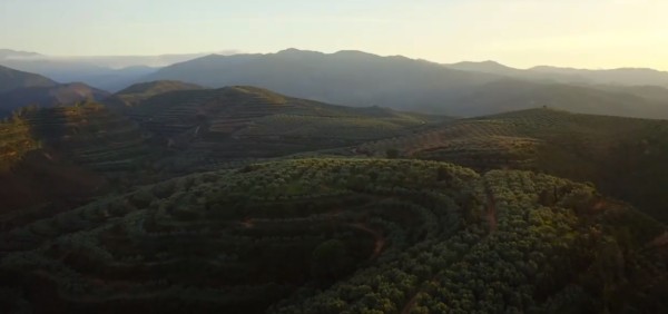 Η νέα επίκαιρη και δυναμική τουριστική καμπάνια της Περιφέρειας Κρήτης –  «Crete- Sense the Authentic»