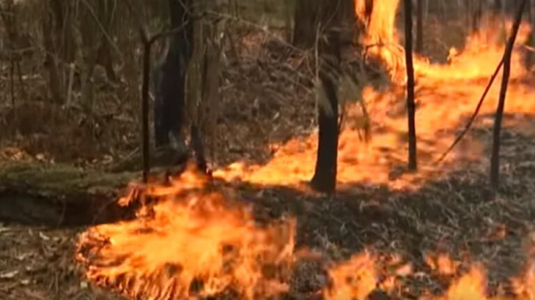 Έβαζε κάθε μέρα φωτιά στο οικόπεδο του γείτονα και έτρεχε να βοηθήσει τους πυροσβέστες