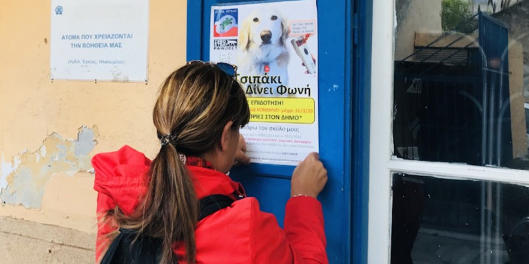 Η Αίγινα φιλοδοξεί να γίνει η πρώτη πόλη χωρίς αδέσποτους σκύλους -Το πρόγραμμά της