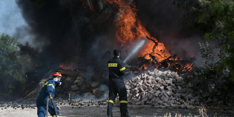 Συναγερμός για φωτιά στην Κάρυστο – Μεγάλη επιχείρηση της Πυροσβεστικής