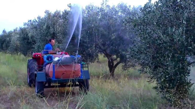 Νέοι ψεκασμοί για τον δάκο στο νομό Ηρακλείου