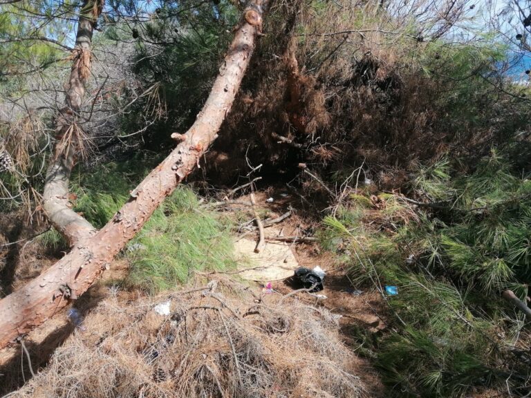 Σε εξέλιξη εργασίες πυροπροστασίας από τον Δήμο Χανίων