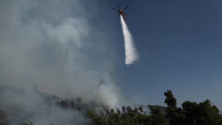 Φωτιά στην Ηλεία: Οι πυκνοί καπνοί καθιστούν δύσκολη την κατάσβεση