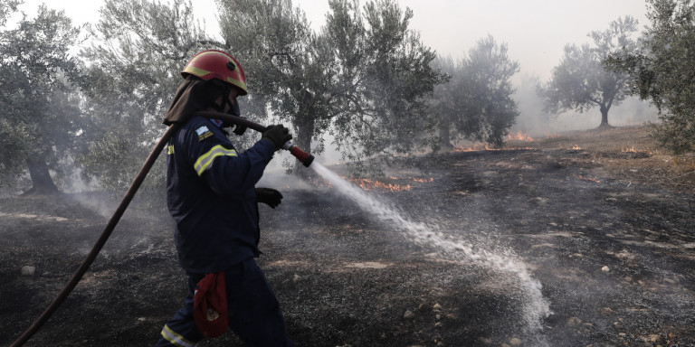 Κόρινθος: Νέο μέτωπο φωτιάς στο Λουτράκι, κοντά στον Ισθμό (εικόνα)