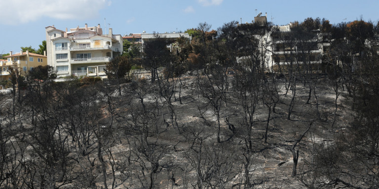 Φωτιά στο Μάτι – Νέα αποκαλυπτικά στοιχεία: «Δεν είχαμε εισήγηση για απομάκρυνση πολιτών»