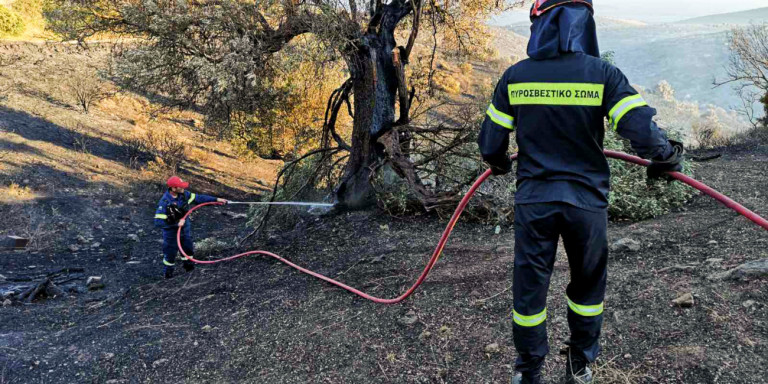 Φωτιά στη Μεσσηνία -Σε αγροτοδασική έκταση