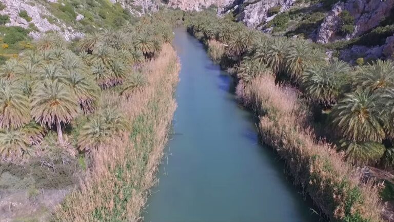 Συνεχίζονται οι δράσεις καθαρισμού στην Πρέβελη