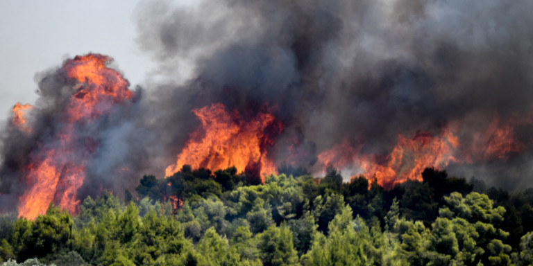 Τεράστια καταστροφή στις Κεχριές -Πάνω από 30.000 στρέμματα έχουν καεί