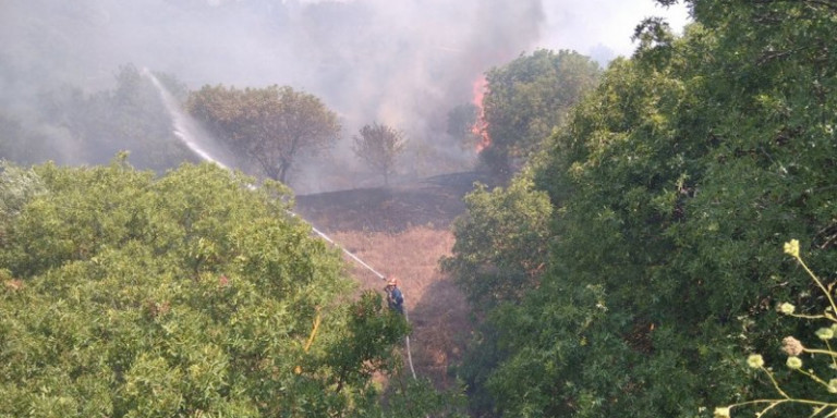 Μεγάλη πυρκαγιά στη Χίο Εκκενώνονται 2 χωριά