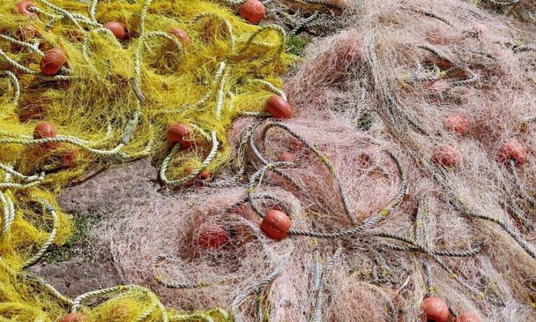 Ηράκλειο: Κορωνοϊός, εισβολικά είδη και θαλάσσια θηλαστικά «απειλούν» τους αλιείς