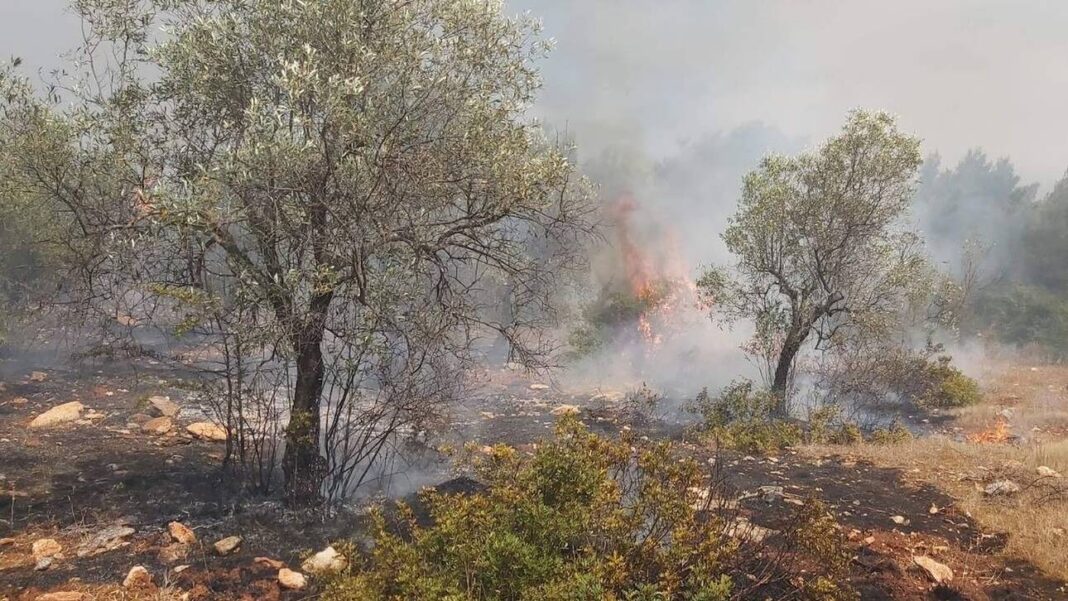 Φωτιά στο Πόρτο Γερμενό