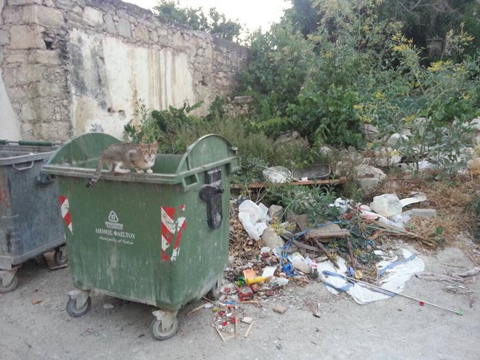 Ηράκλειο: Ηλικιωμένη πέταξε στα σκουπίδια 25.000 ευρώ