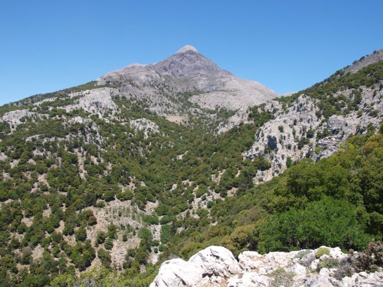 Έκτακτα προληπτικά μέτρα προστασίας λόγω κινδύνου πυρκαγιάς