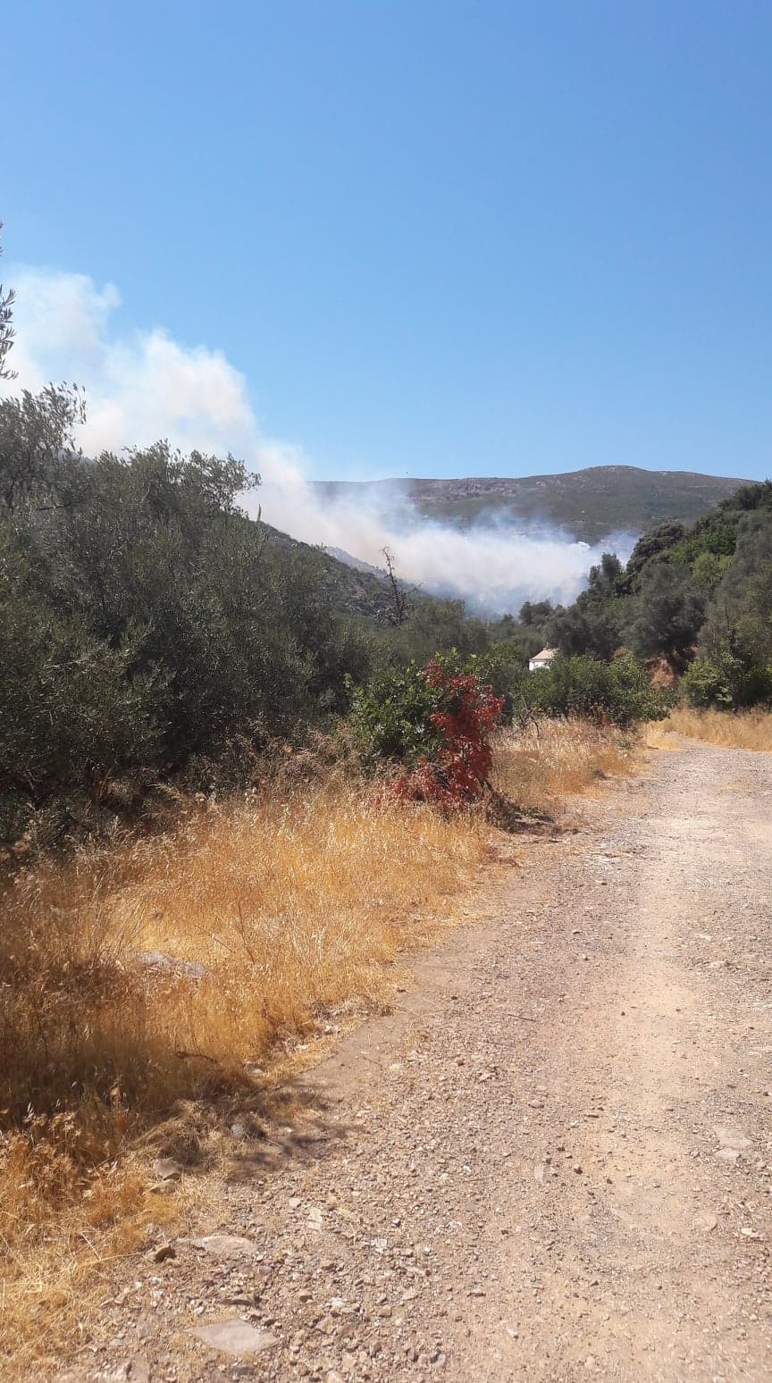 Εικόνες και βίντεο από τη μεγάλη πυρκαγιά στην Κρήτη – Στη μάχη με τις φλόγες και ελικοπτέρο