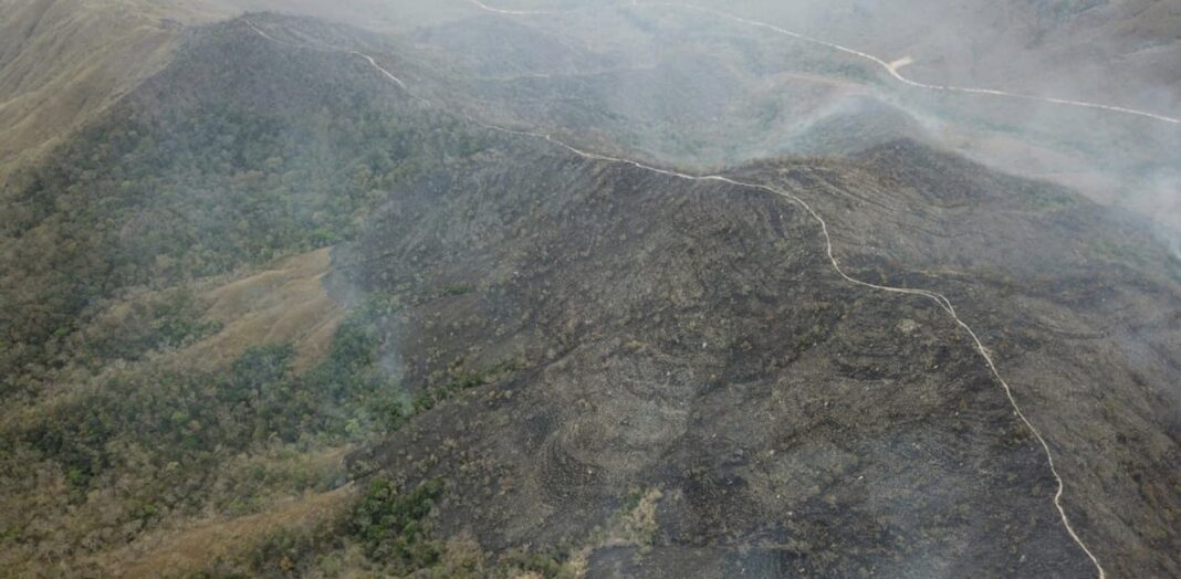 Βραζιλία: Ρεκόρ πυρκαγιών καταγράφηκε τον Ιούλιο – Φλέγεται ξανά ο Αμαζόνιος