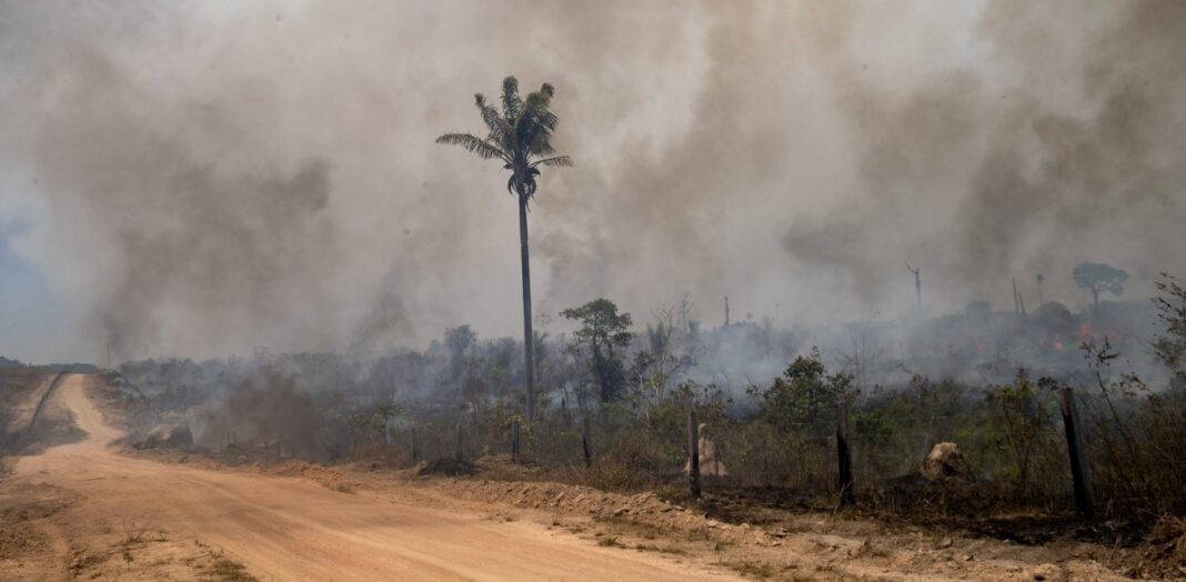 Βραζιλία: Φωτιές στον Αμαζόνιο κατακαίνε δασικές εκτάσεις