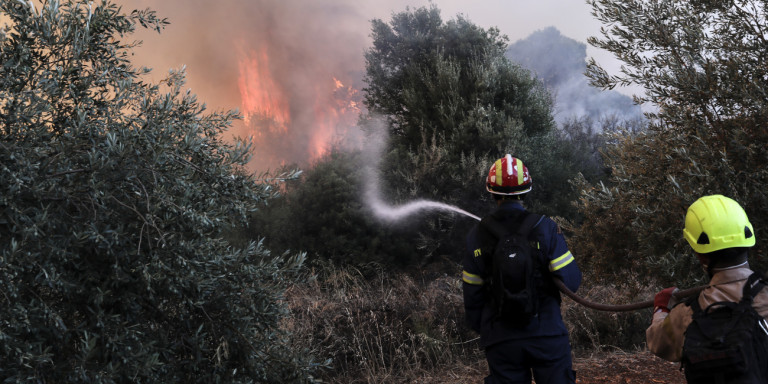 Φωτιά σε δύσβατη περιοχή -Ενισχύονται οι πυροσβεστικές δυνάμεις