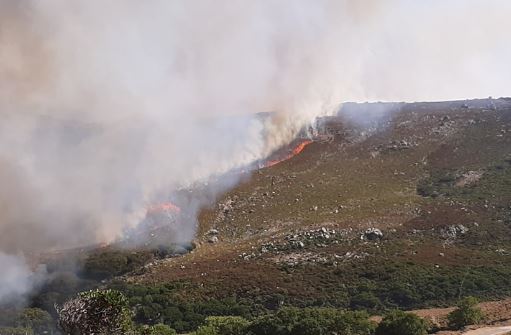 Κρήτη: Eκτός ελέγχου η μεγάλη πυρκαγιά – Οι φλόγες «έγλειψαν» σπίτια (εικόνες – βίντεο)