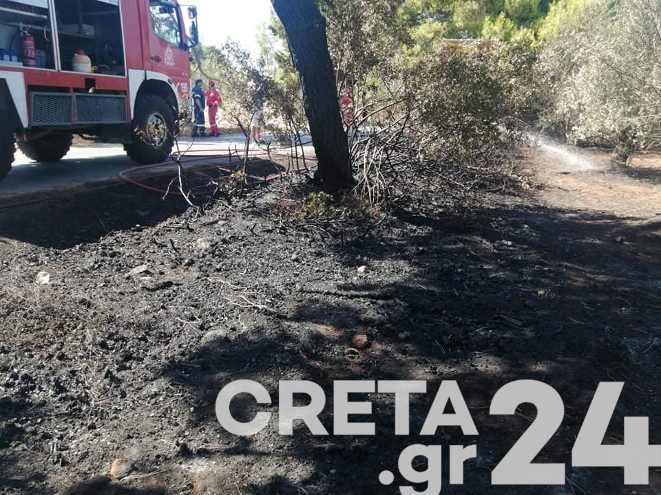 Νέα φωτιά στην Κρήτη – Επί ποδός η Πυροσβεστική (εικόνες)