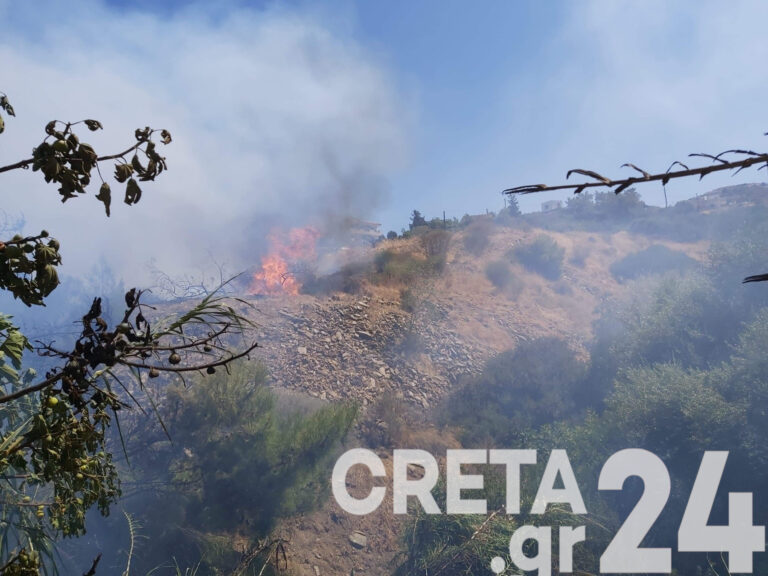 Δραματικές στιγμές στην Αγία Πελαγία: Έβγαλαν κατάκοιτο ηλικιωμένο από σπίτι που «έγλειψαν» οι φλόγες
