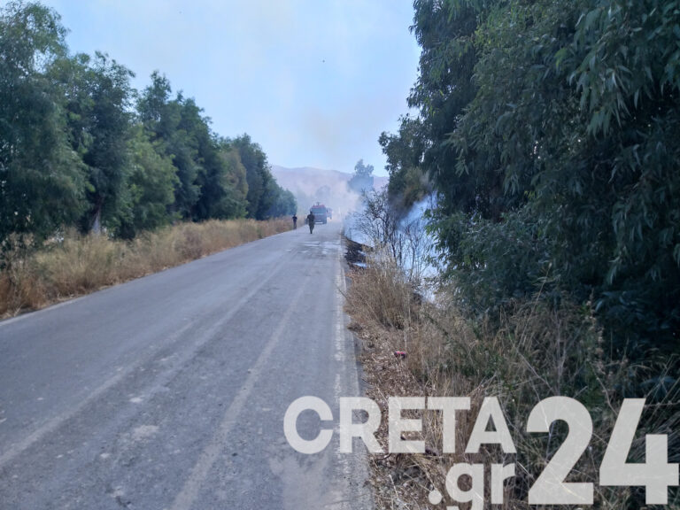 Κρήτη: Υπό μερικό έλεγχο η φωτιά στον Χάρακα