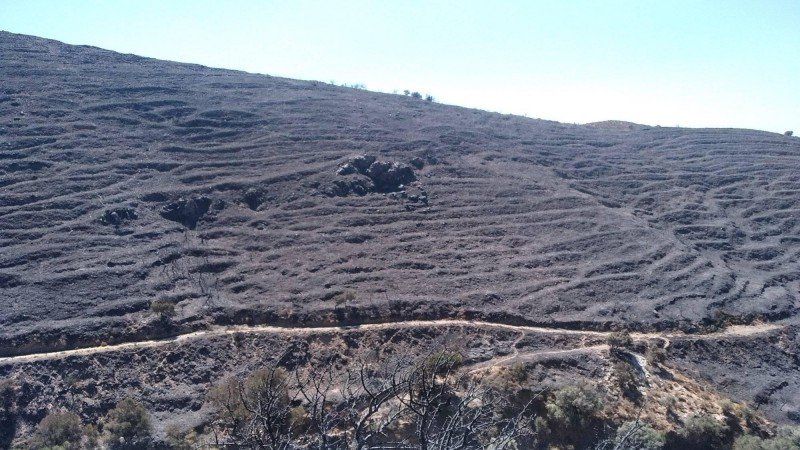 Kρήτη: Βουνά από …στάχτη! – Τι άφησε πίσω της η καταστροφική πυρκαγιά (εικόνες)