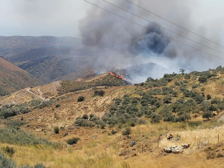 Κρήτη: Εθελοντική δράση καθαρισμού και ευαισθητοποίησης στις πληγείσες από τη φωτιά περιοχές