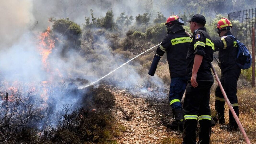 Φωτιά σε δασική έκταση – Ισχυρές δυνάμεις της πυροσβεστικής (εικόνες)