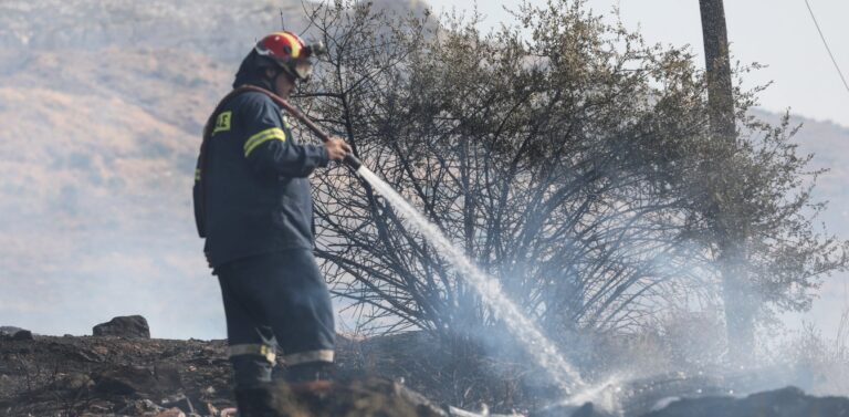 Φωτιά στον Βύρωνα: Υπό μερικό έλεγχο – Αποκαταστάθηκε η κυκλοφορία